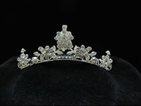 Amelia Small Haircomb